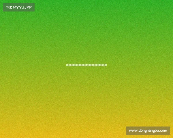 雷恩城市发展与文化特色研究：从历史遗产到现代化转型的探索