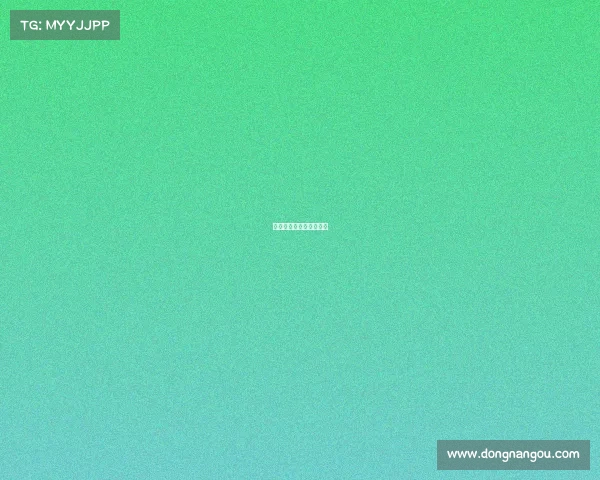 网球场：比赛与激情交汇