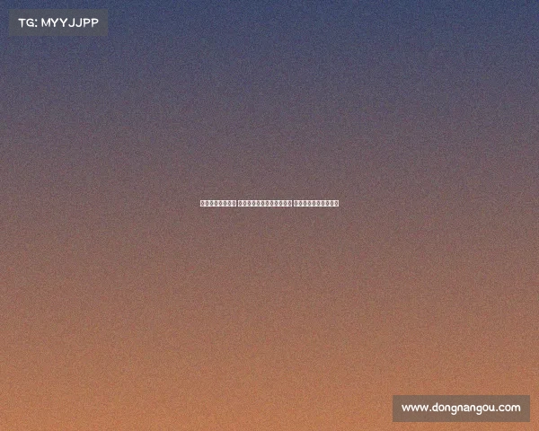 荣耀加冕时刻庆典 团队携手奋进书写辉煌历史 夺冠喜悦如潮水般涌动