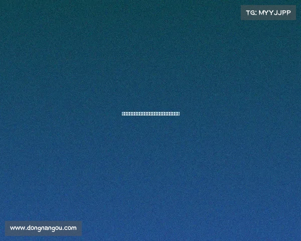 皇家社会租借里昂中卫卡莱塔卡尔协议包括买断条款