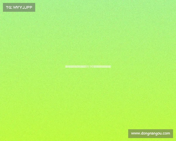 麦卡利斯特晒遛狗照身穿利物浦95 96赛季复古球衣回忆经典时光